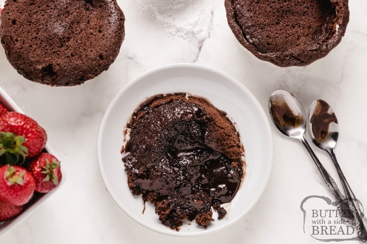 Microwave Chocolate Mug Cake – Leozette