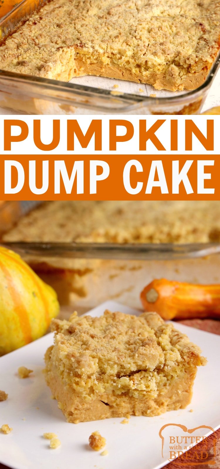 This pumpkin dump cake is so easy to make and is made with only 5 ingredients! This pumpkin cake recipe tastes like pumpkin pie and makes enough to feed a crowd. Delicious warm or cold - the perfect fall dessert!