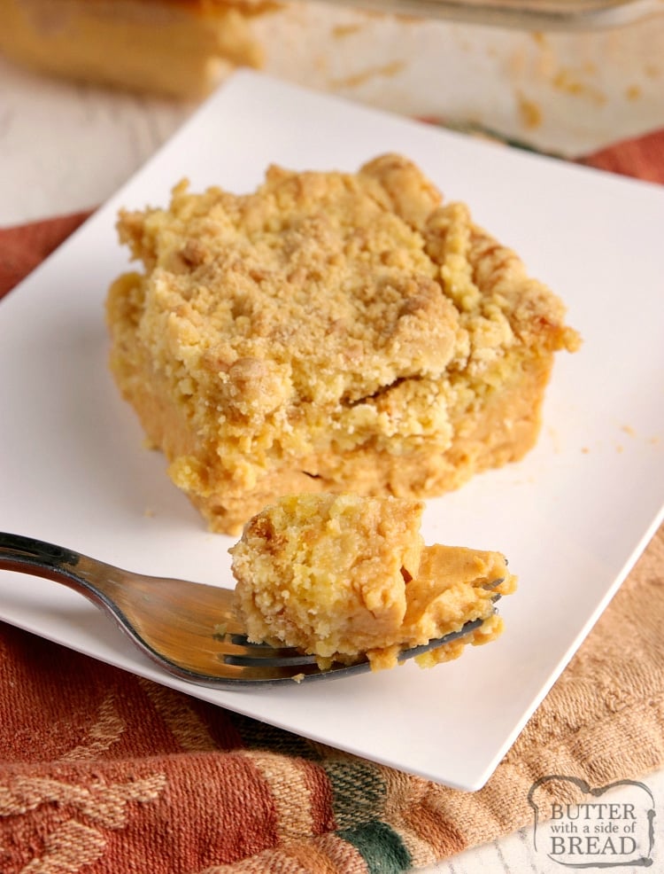 This pumpkin dump cake is so easy to make and is made with only 5 ingredients! This pumpkin cake recipe tastes like pumpkin pie and makes enough to feed a crowd. Delicious warm or cold - the perfect fall dessert!