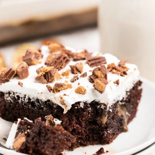 Chocolate Cake With Condensed Milk - Every Little Crumb