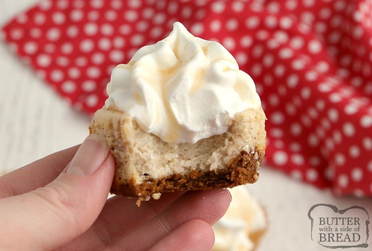 Miniature eggnog cheesecake with gingersnap cookie crust