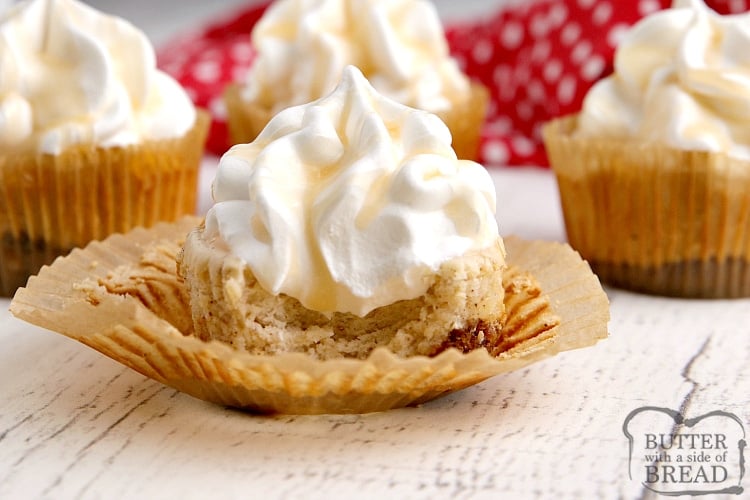 Mini Eggnog Cheesecakes with a creamy, spiced eggnog filling and a gingersnap cookie for the crust. Add some whipped cream and caramel topping for a mini cheesecake recipe that is absolutely delicious!