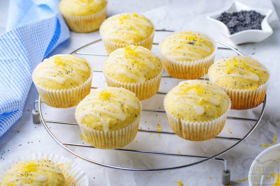Best Lemon Poppy Seed Muffin recipe