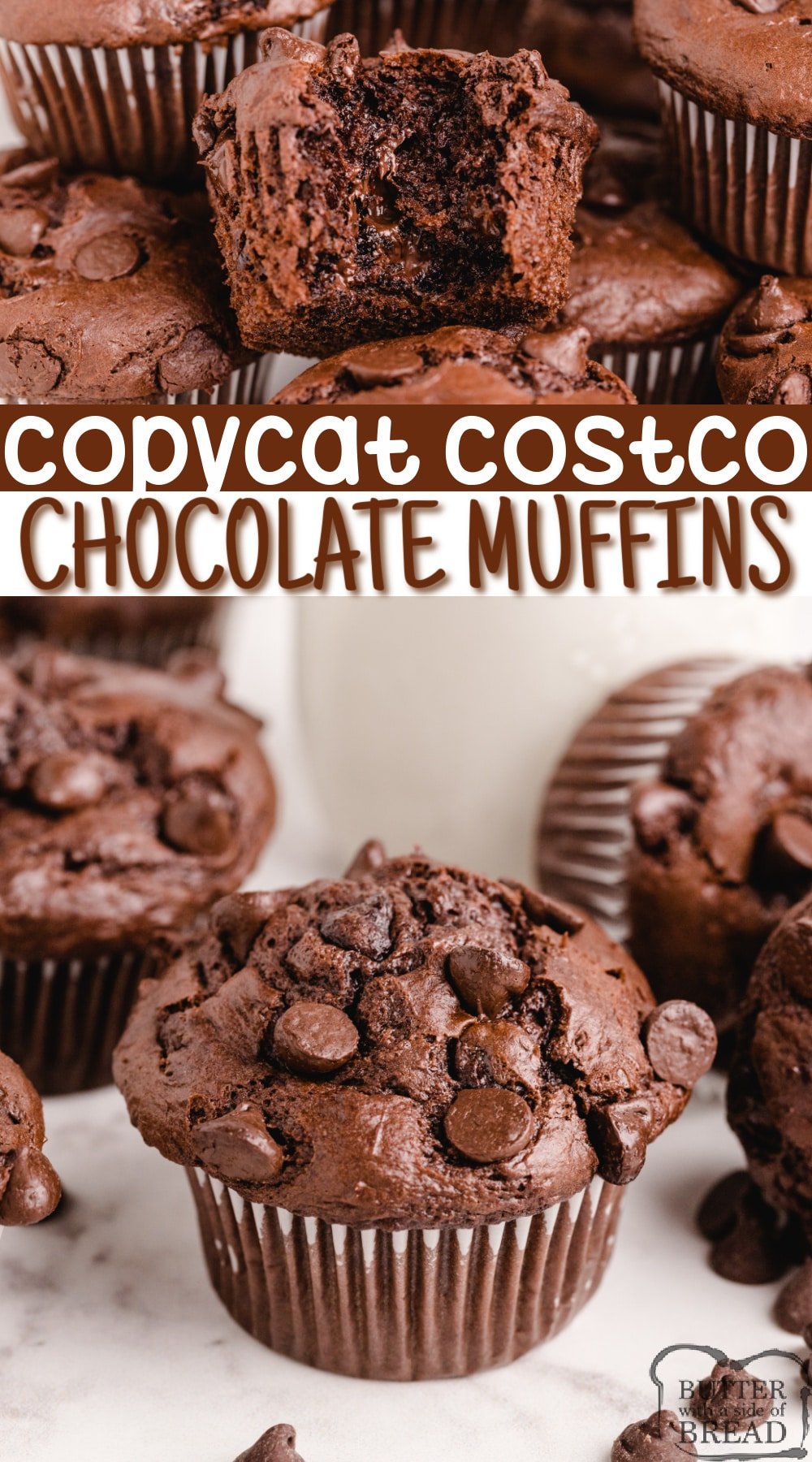 Copycat Costco Chocolate Muffins taste just like the amazing double chocolate muffins from Costco. Easy chocolate chocolate chip muffin recipe that everyone loves!
