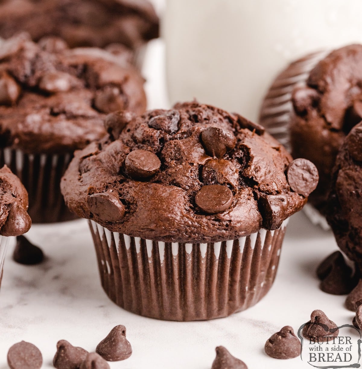 Copycat Costco Chocolate Muffins taste just like the amazing double chocolate muffins from Costco. Easy chocolate chocolate chip muffin recipe that everyone loves!