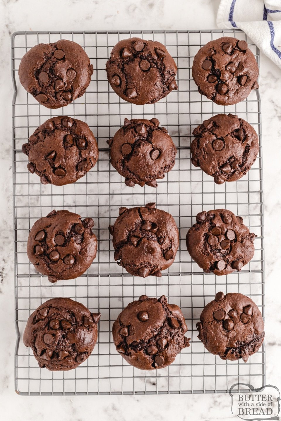 Copycat Costco Chocolate Muffins taste just like the amazing double chocolate muffins from Costco. Easy chocolate chocolate chip muffin recipe that everyone loves!