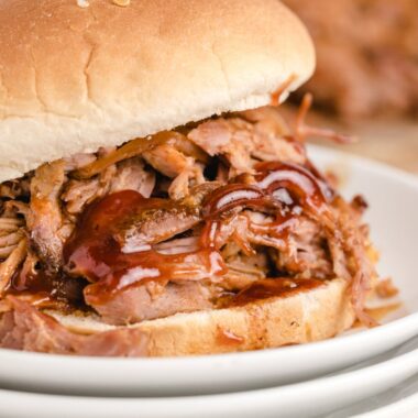 pulled pork sandwich with BBQ sauce on a white plate