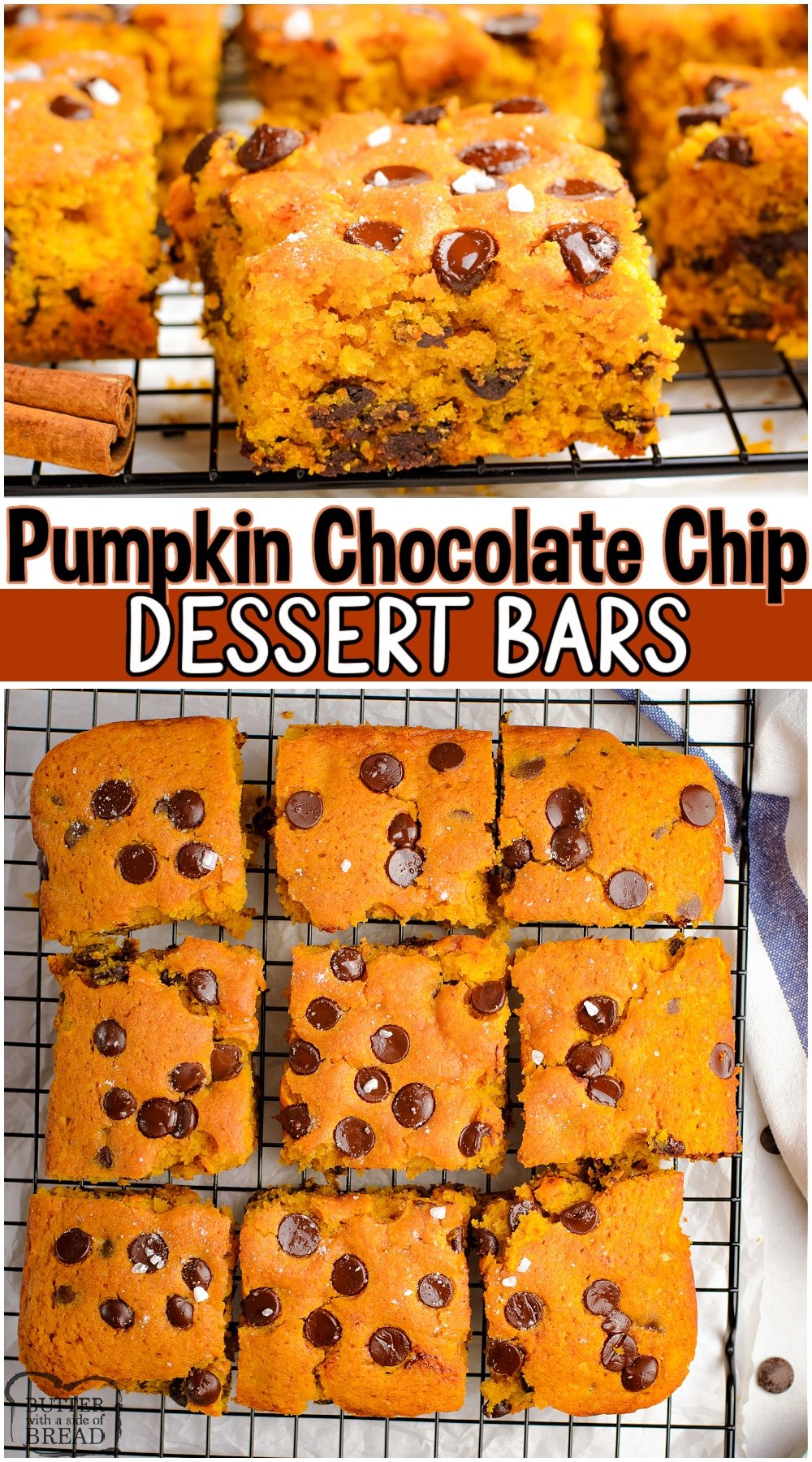 Pumpkin Chocolate Chip Bars made with pumpkin puree, brown sugar, brown butter & a warm blend of Fall spices! Pumpkin dessert bars loaded with chocolate chips & sprinkled with sea salt for the perfect finishing touch! #pumpkin #chocolatechip #baking #Fall #brownbutter #easyrecipe from BUTTER WITH A SIDE OF BREAD
