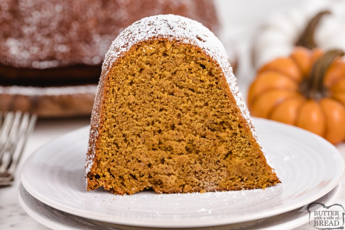 Slice of gingerbread made with pumpkin and apple