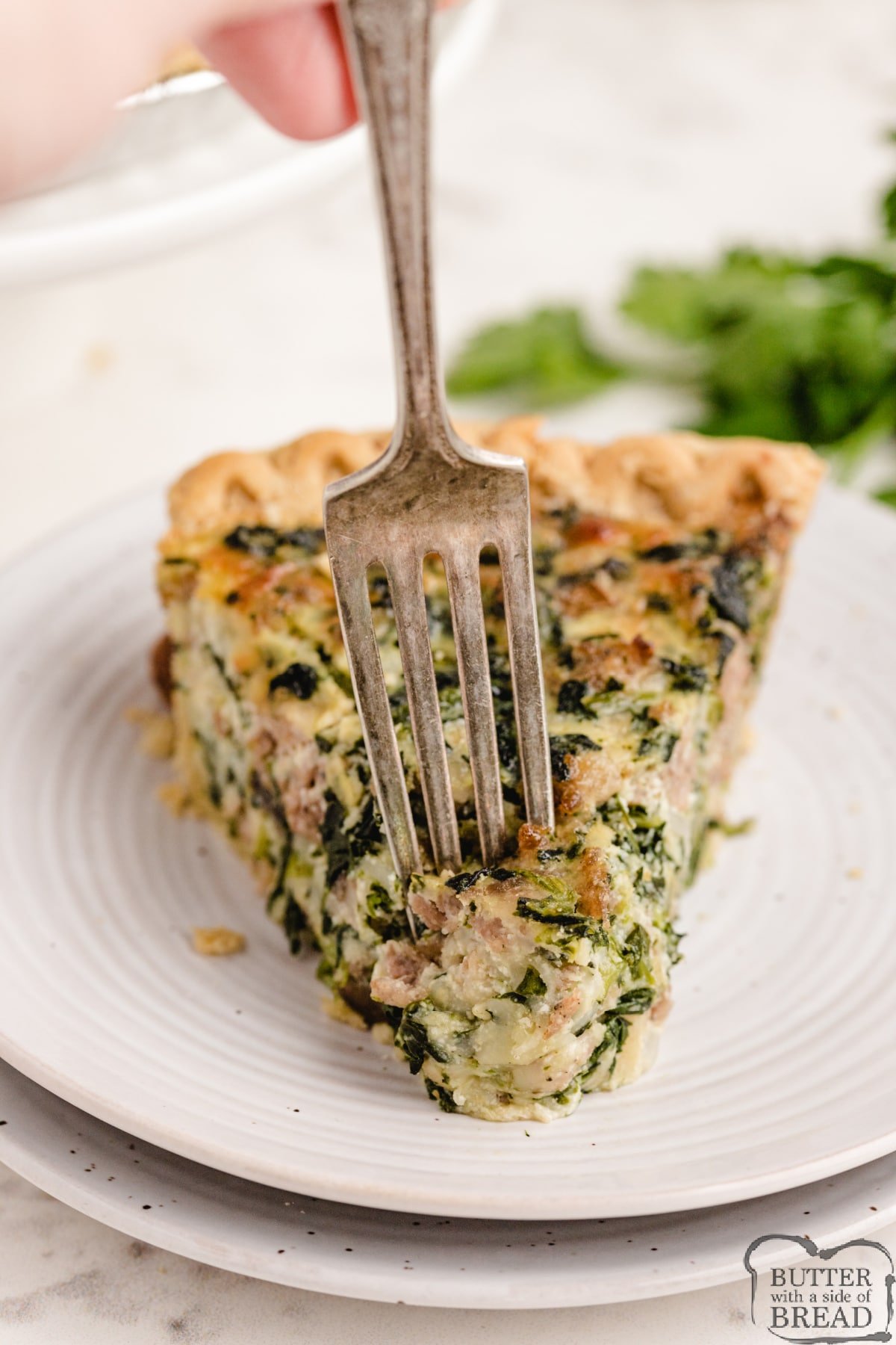 Easy quiche recipe made with eggs, cheese and cream