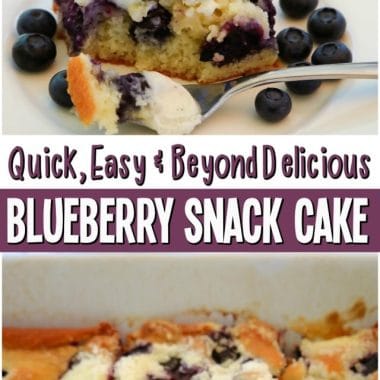 cropped-Blueberry-Snack-Cake.pin_.jpg