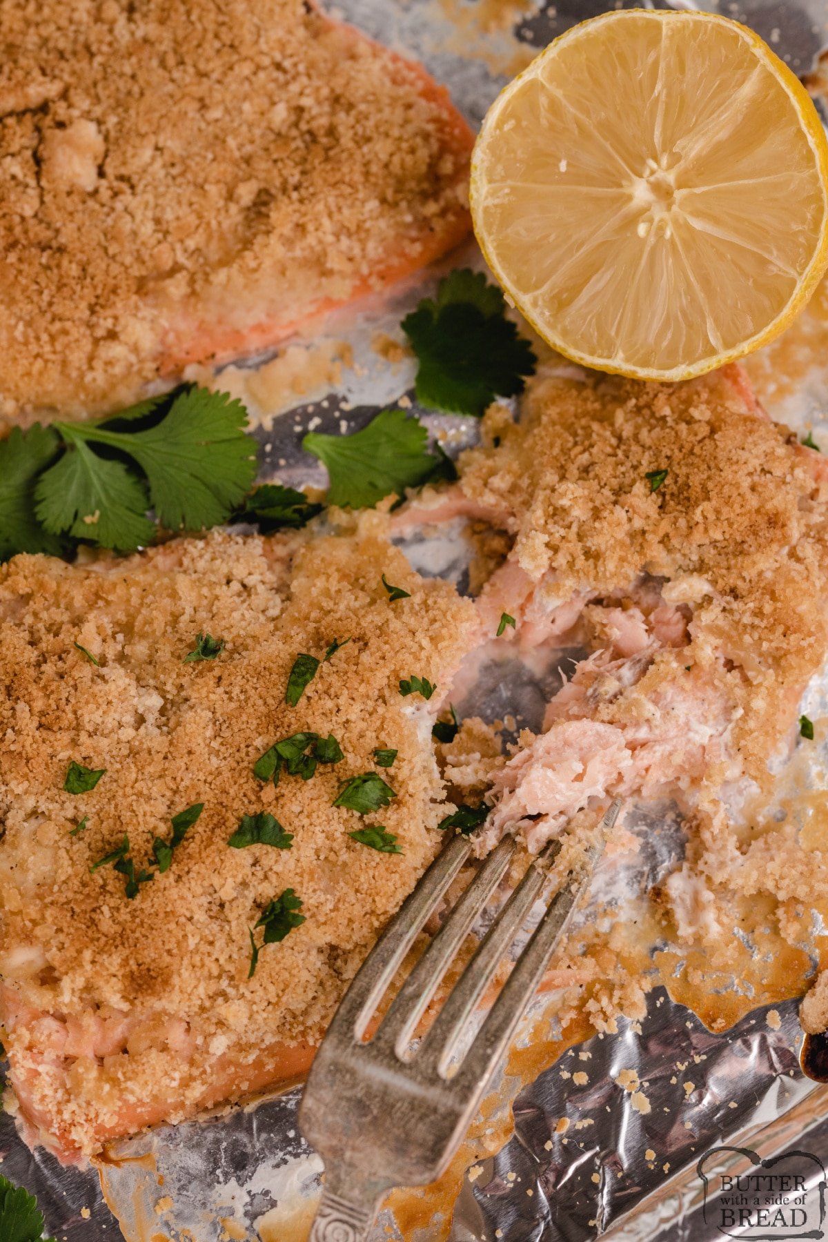 Parmesan Crusted Baked Salmon is moist, flaky, full of flavor and so simple to prepare! Only a few ingredients are needed to make this easy salmon recipe. 
