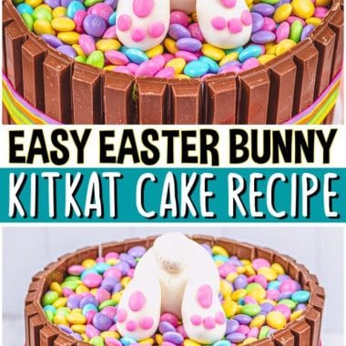 cropped-Easy-Easter-Bunny-KitKat-Cake-recipe.PIN_.jpg