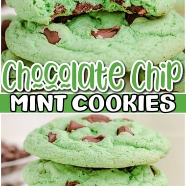 cropped-Mint-Chocolate-Chip-Cookies-recipe.PIN_.FCR_.jpg