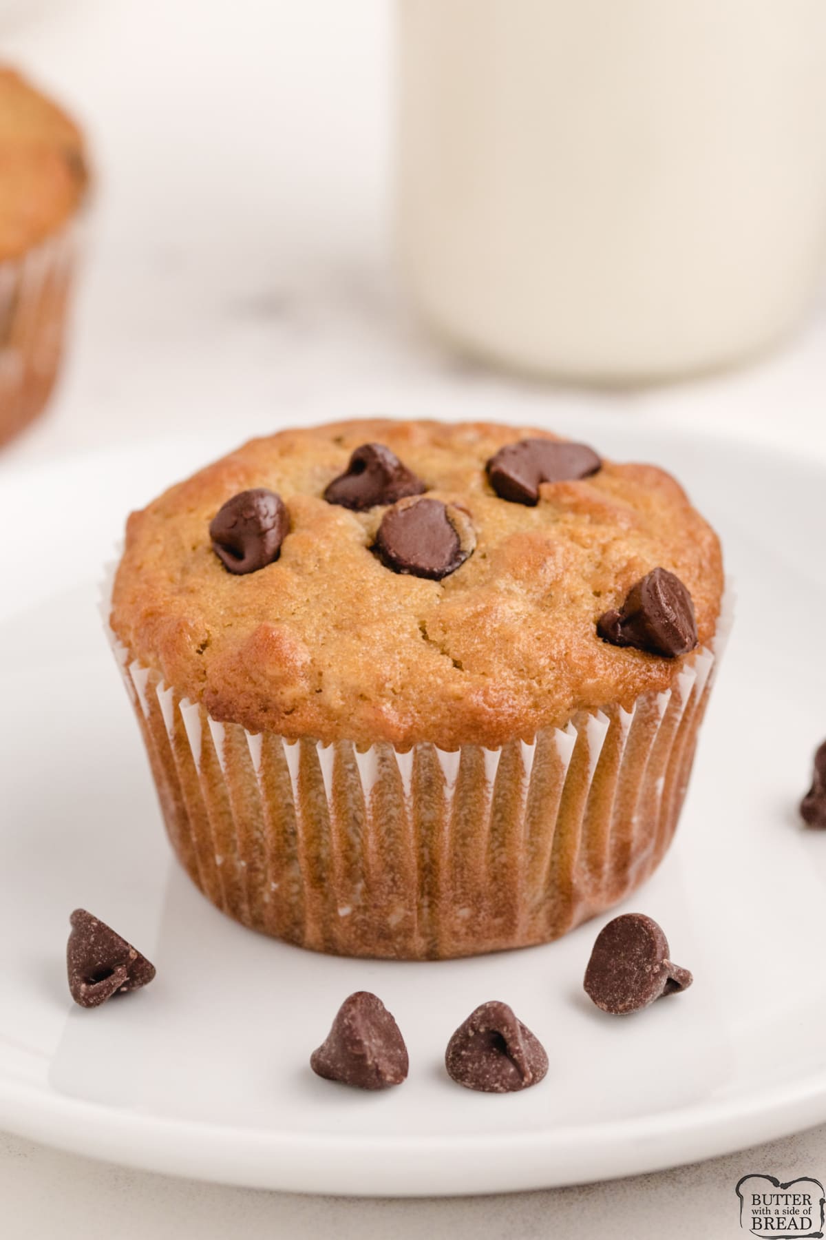 Oatmeal Chocolate Chip Muffins made with oats, buttermilk and lots of chocolate chips! Deliciously soft muffin recipe made completely from scratch.