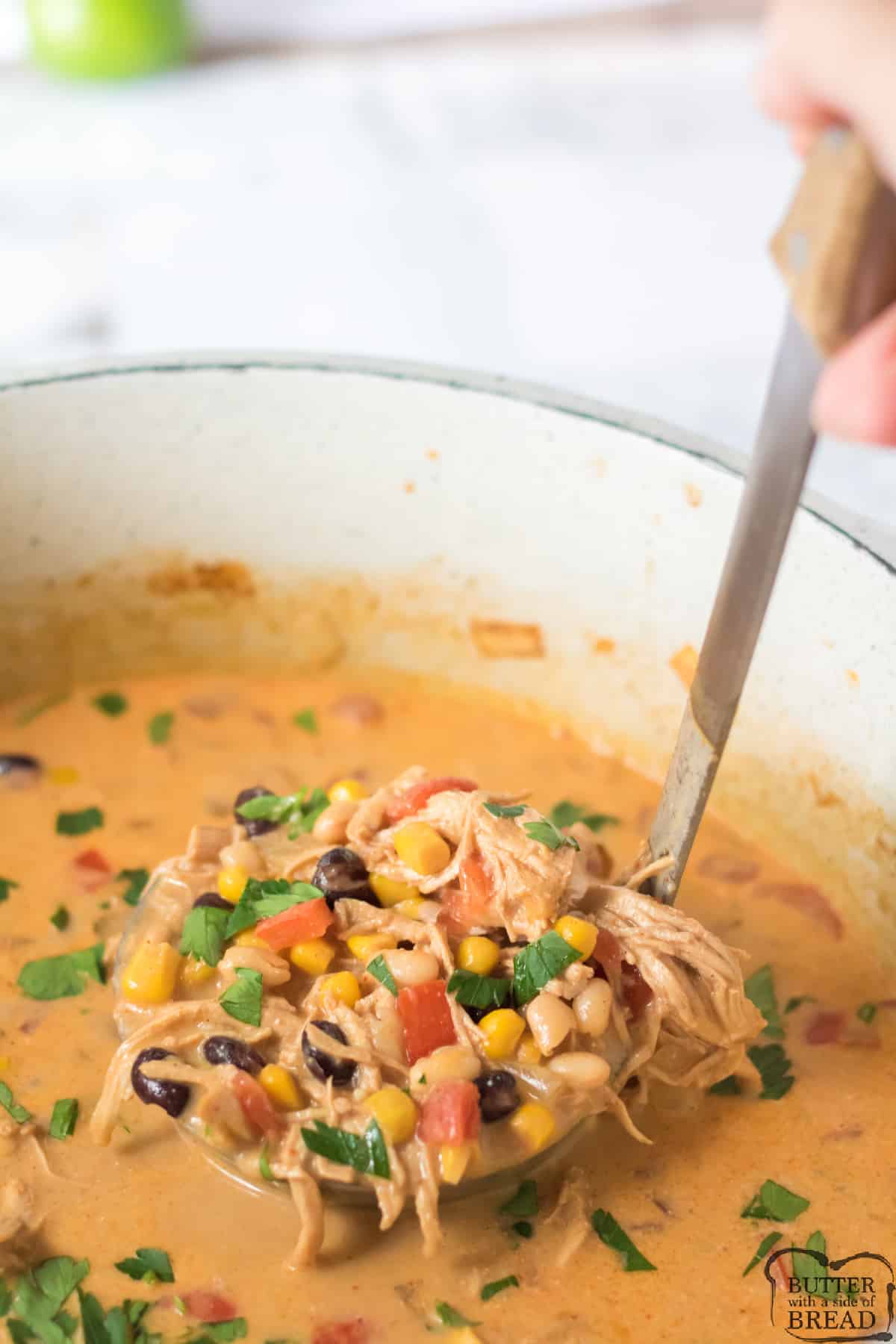 Chicken Tortilla soup recipe with beans, corn, chicken and lots of spices