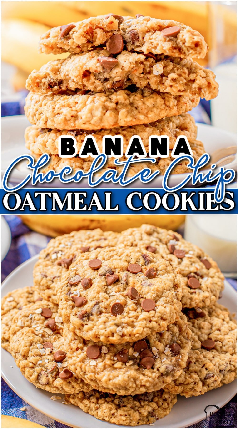 Chocolate Chip Banana Oatmeal Cookies made with ripe bananas, old-fashioned oats & chocolate chips for a loaded breakfast cookie everyone enjoys!