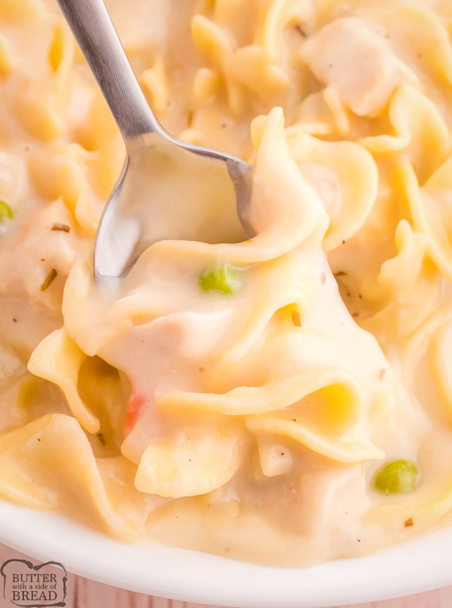 spoonful of creamy chicken noodle soup