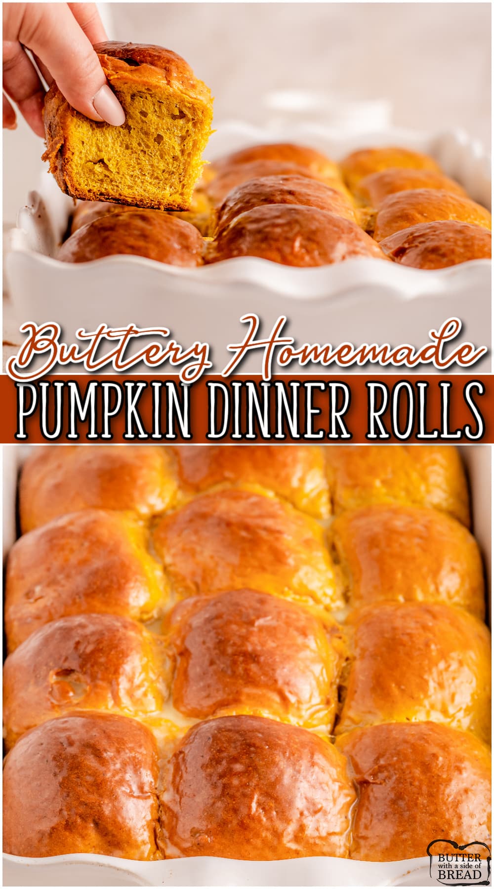 Honey Butter Pumpkin Rolls are pillowy soft homemade rolls perfect for Fall! Dinner rolls with fantastic honey butter flavor & a hint of pumpkin that everyone loves!