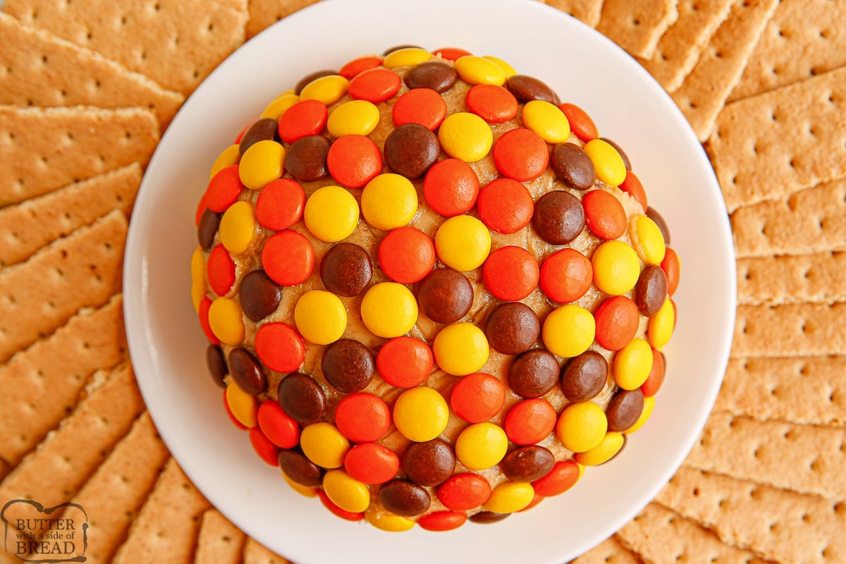 cheese ball with Reese's Pieces on the outside