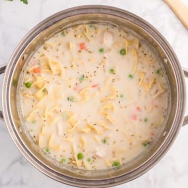 Creamy Chicken Noodle Soup Set #2-11