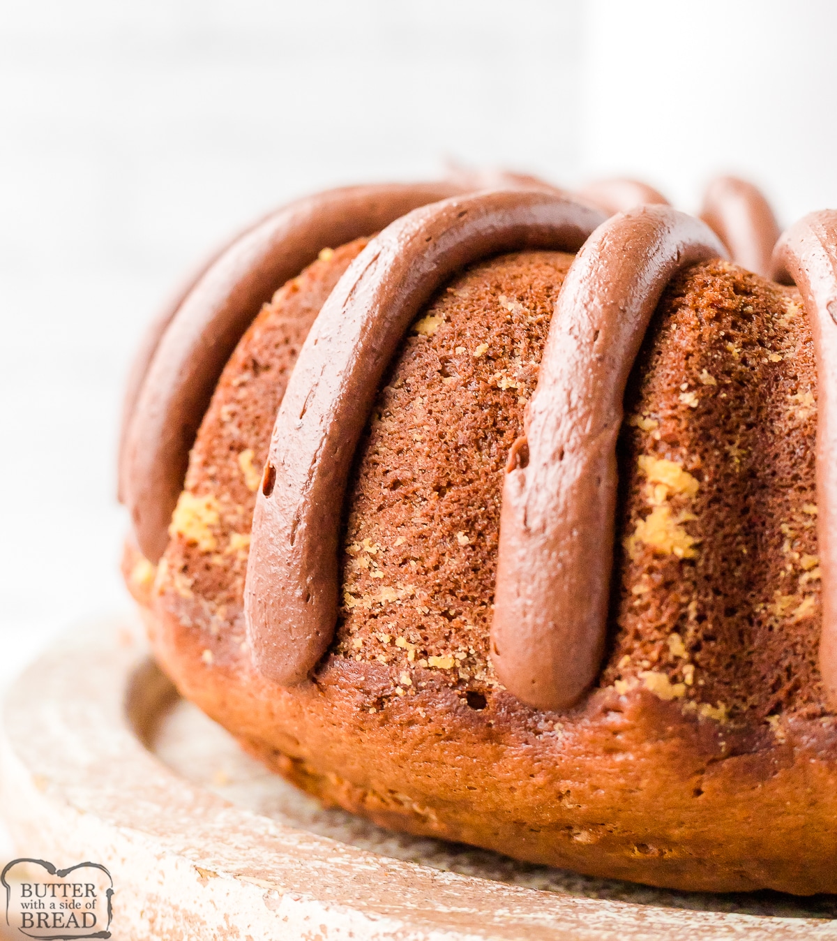 bundt cake with thick chocolate frosting lines