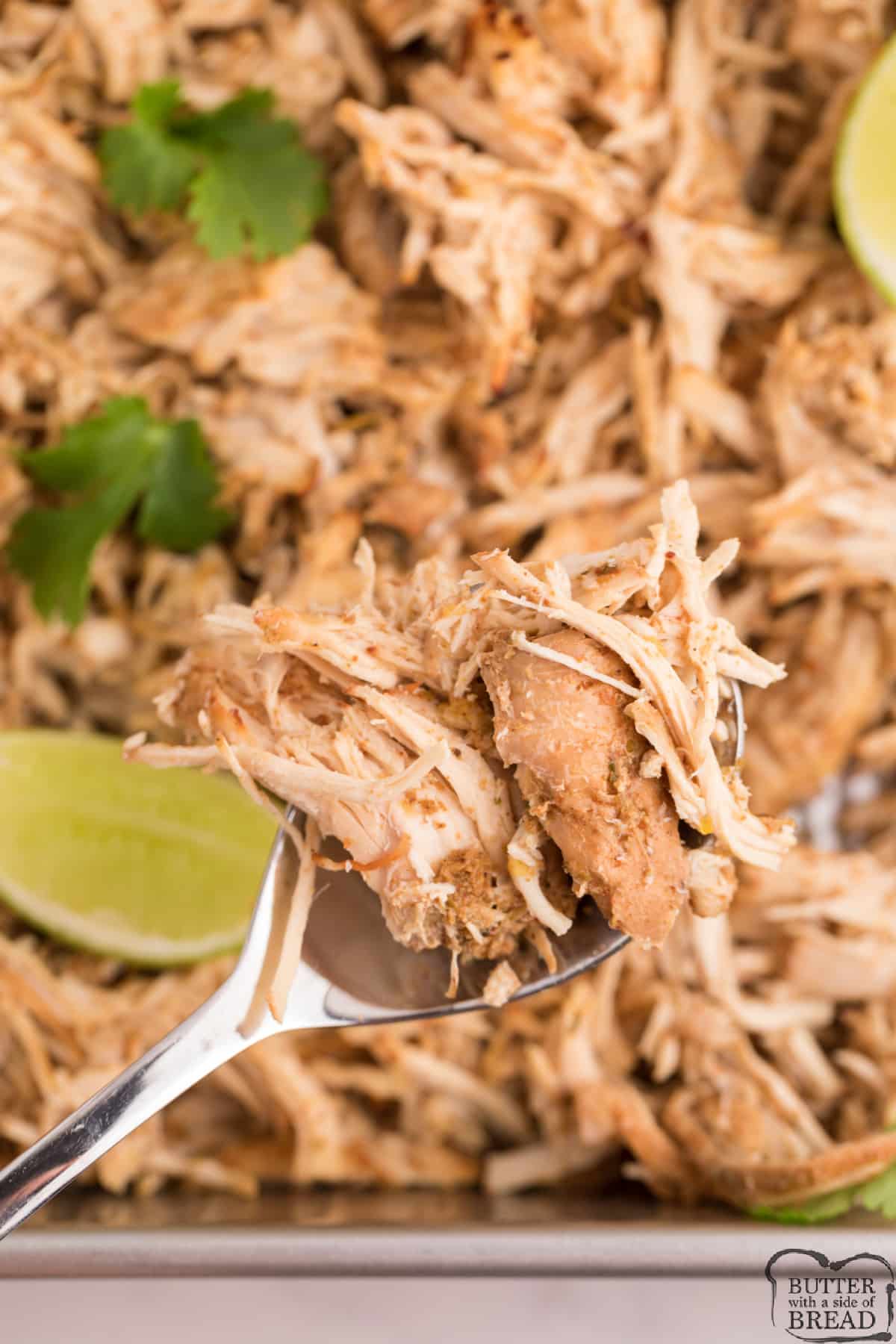 Shredded chicken with mexican seasonings 