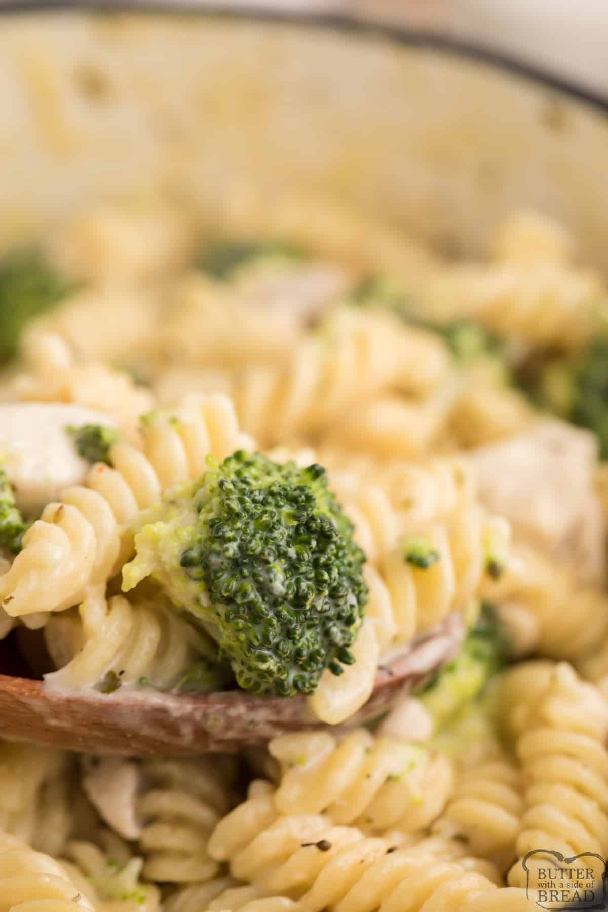 Chicken alfredo with broccoli