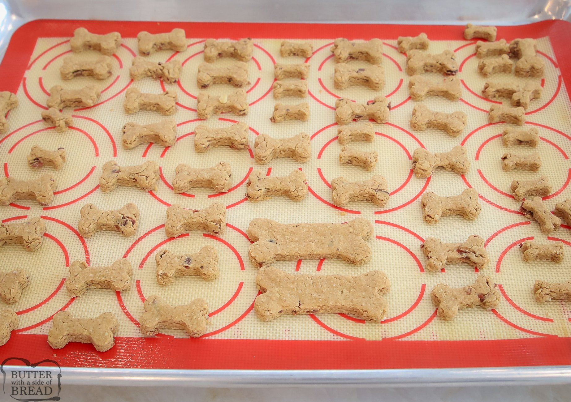 tray of homemade oat flour dog bicuits