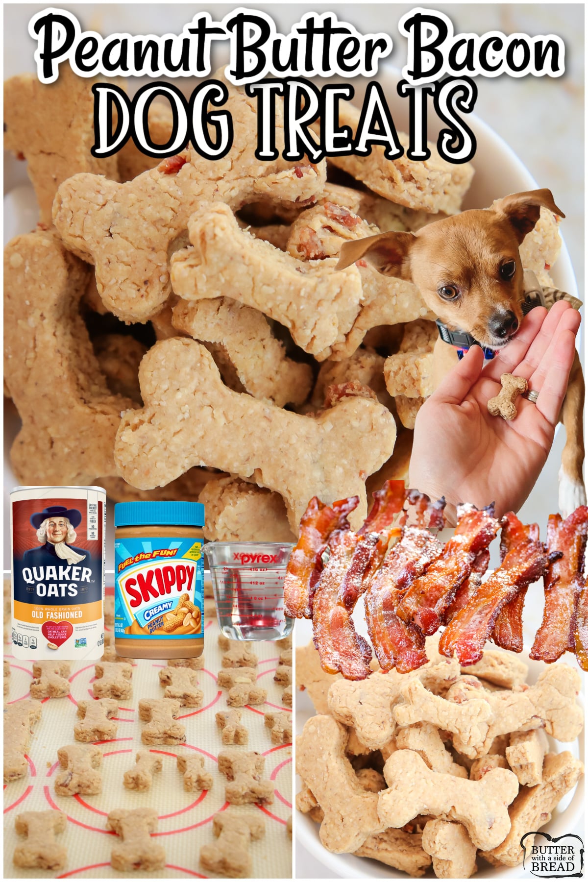 Peanut Butter Bacon Dog Treats are simple, tasty treats your dog will LOVE! Homemade oat flour combined with peanut butter and crumbled bacon for a protein packed dog biscuit that will be devoured! 