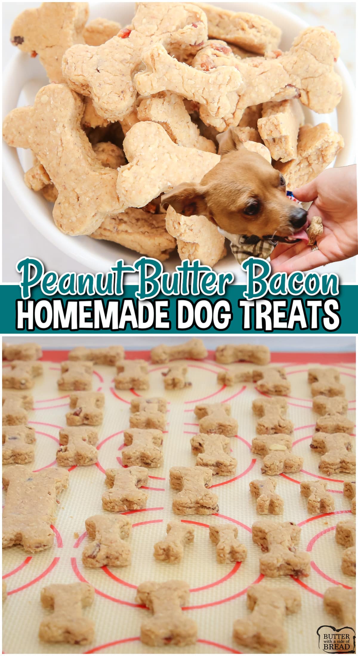 Peanut Butter Bacon Dog Treats are simple, tasty treats your dog will LOVE! Homemade oat flour combined with peanut butter and crumbled bacon for a protein packed dog biscuit that will be devoured! 