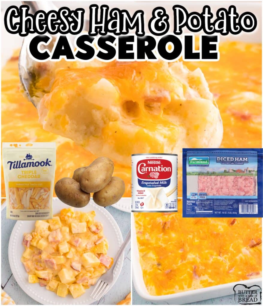 Cheesy Ham and Potato Casserole made with potatoes, ham, a creamy sauce and lots of cheese! This baked casserole is the perfect comfort food that the whole family will love. 