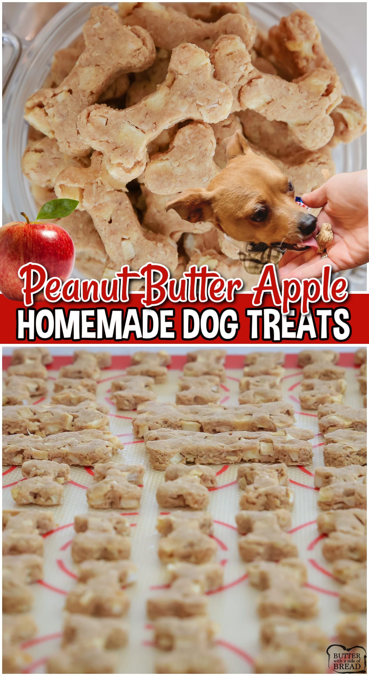Apple Peanut Butter Dog Treats are made with 4 simple ingredients! Easy homemade dog treats are packed with nutrients & your dog will devour them! 