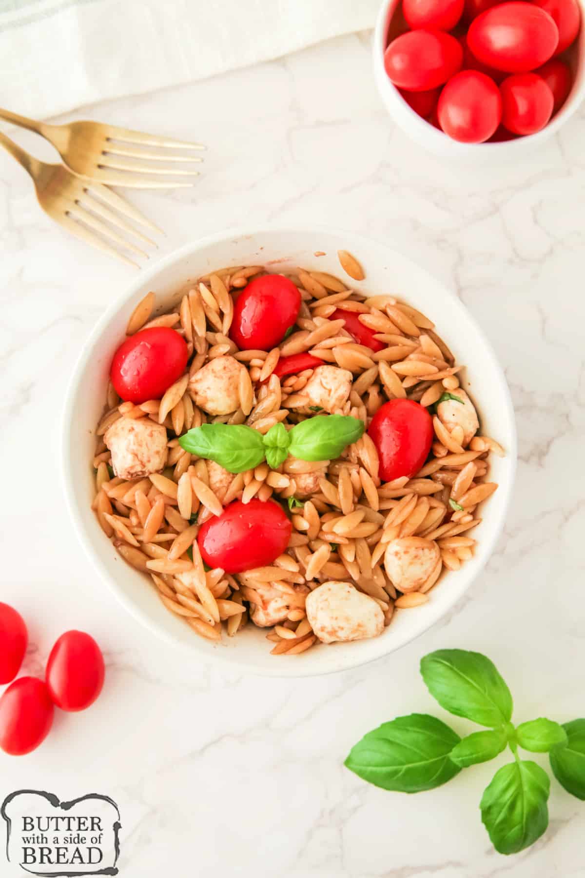 Pasta salad made with orzo, tomatoes, and mozzarella. 