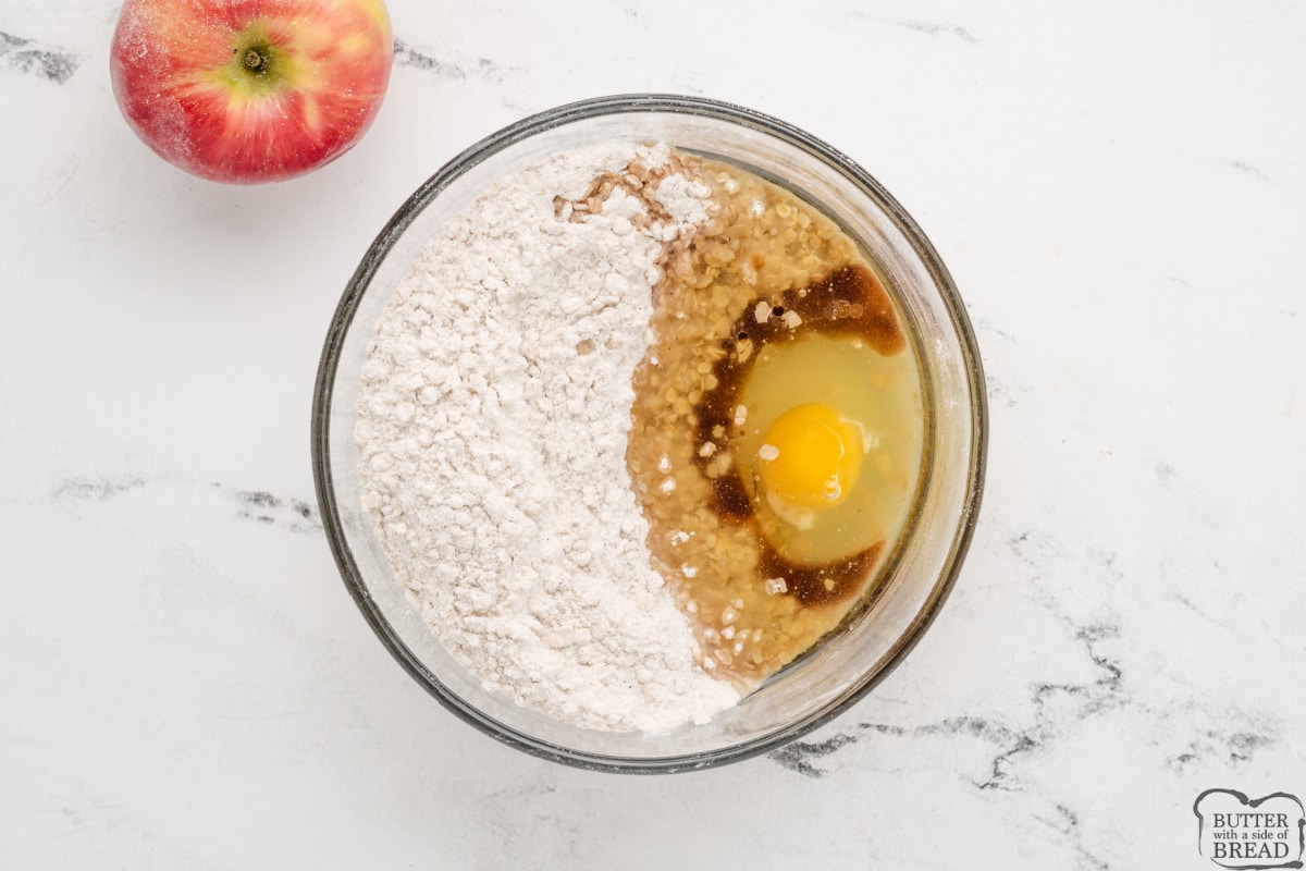 Adding egg, oil, and vanilla to dry ingredients.
