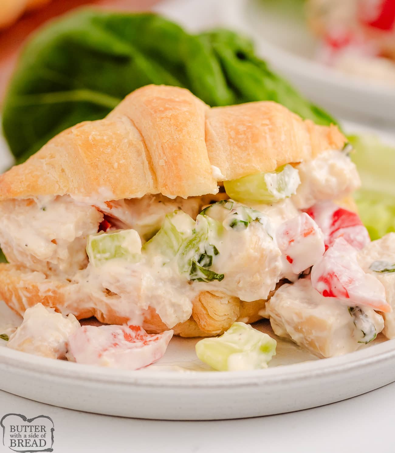 fresh basil chicken salad in a croissant on a plate