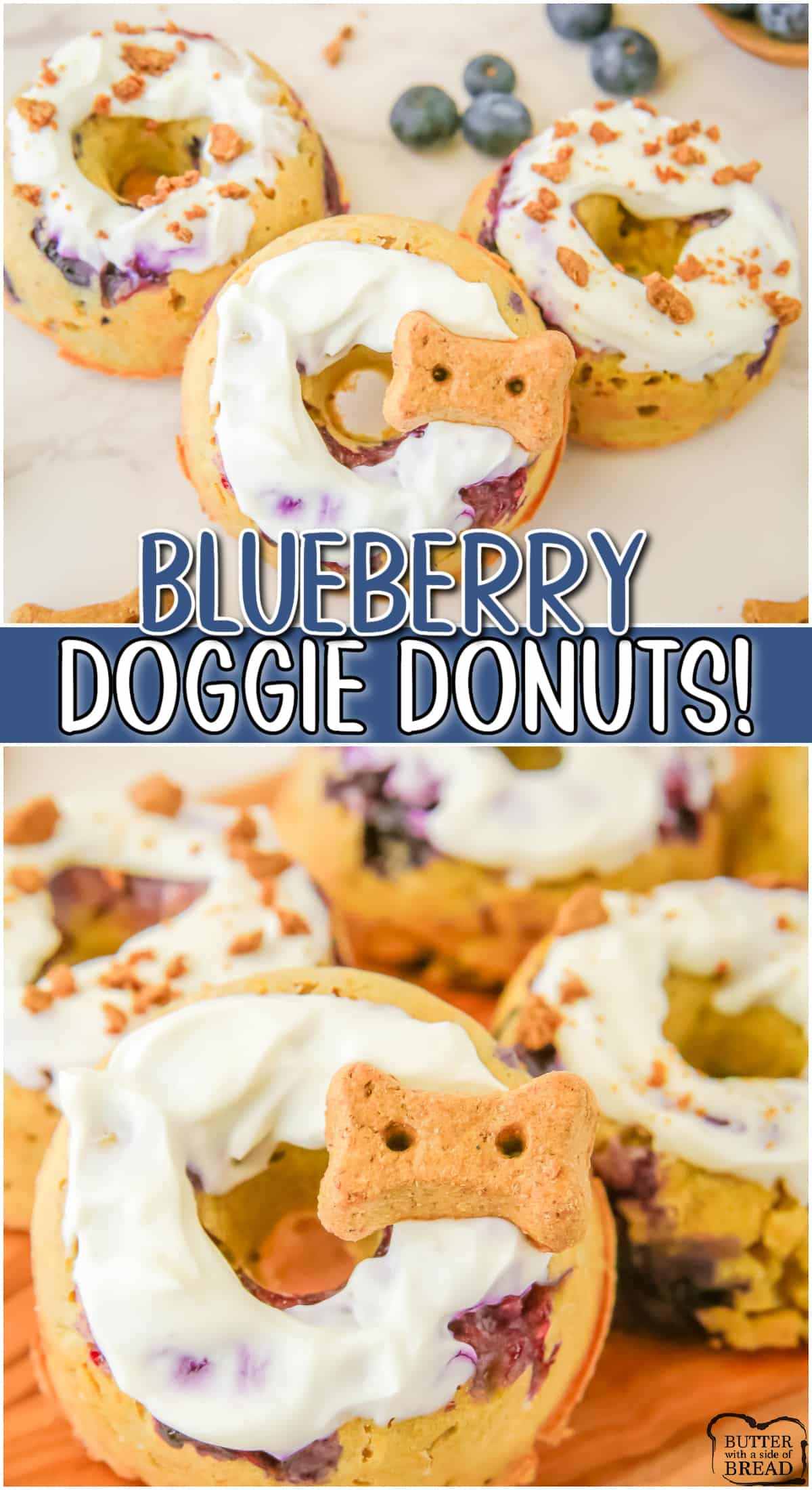 Blueberry Dog Treats made with oat flour, whole oats, banana and of course, fresh blueberries! Easy dog treats baked in donut rings for an extra special fur baby!