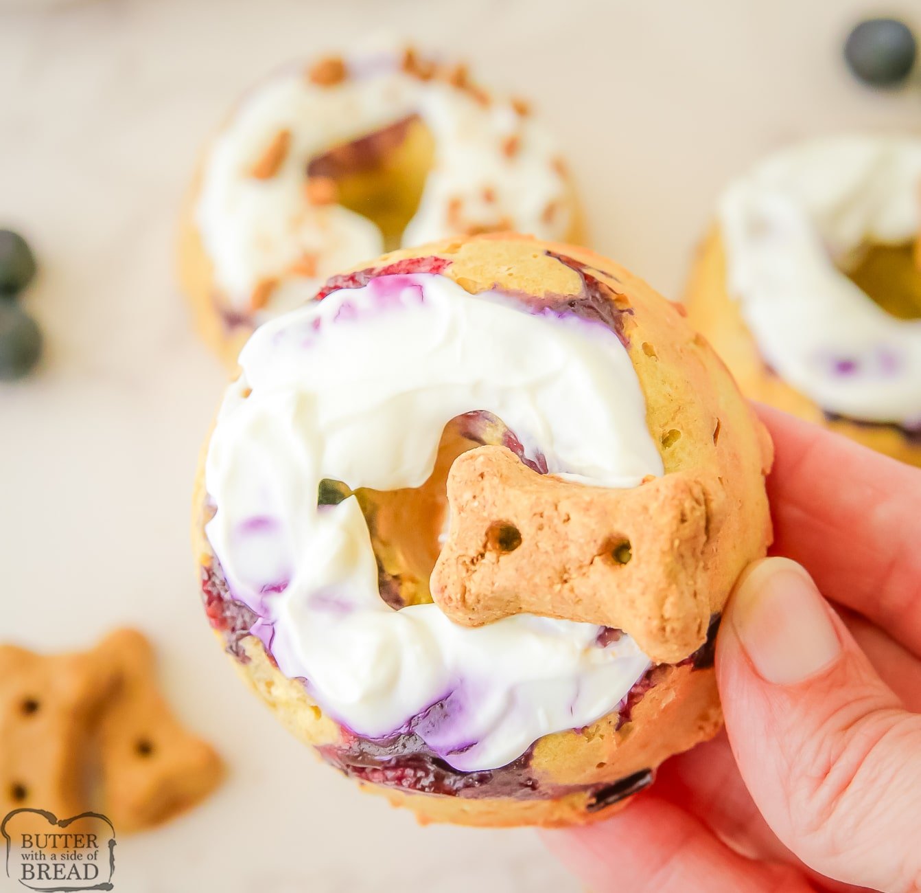 holding a blueberry doggie donut