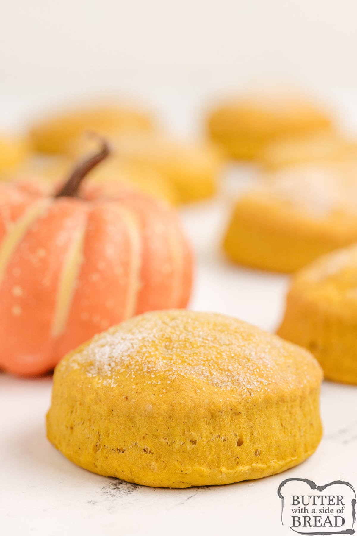 Fluffy pumpkin biscuit.