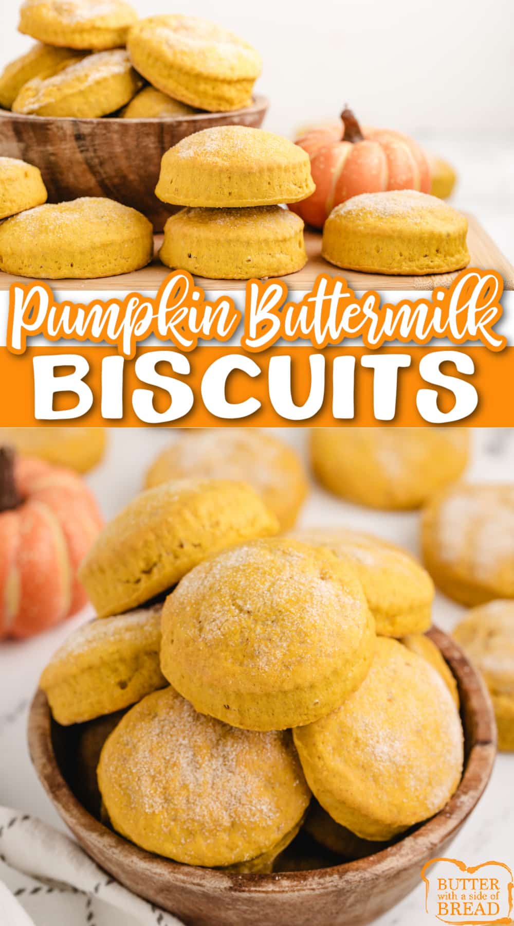 Pumpkin Buttermilk Biscuits made from scratch with just a few simple ingredients. This soft and fluffy biscuit recipe made with buttermilk and pumpkin is perfect for fall!