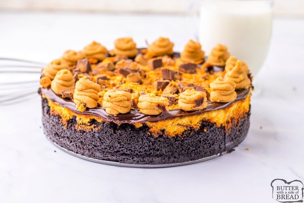 Copycat Cheesecake Factory Adam's Peanut Butter Cup Cheesecake is made with an Oreo crust, crushed Butterfingers, chopped peanut butter cups, and hot fudge. This decadent cheesecake is topped off with a peanut butter cream cheese frosting.