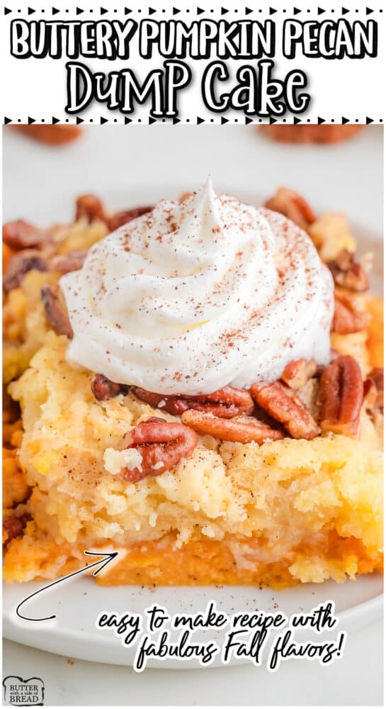 Pumpkin Pecan Dump Cake is made easy with a handful of ingredients including a cake mix, pumpkin pie mix, eggs, butter and brown sugar. Decadent dump cake recipe with fantastic Fall flavors!