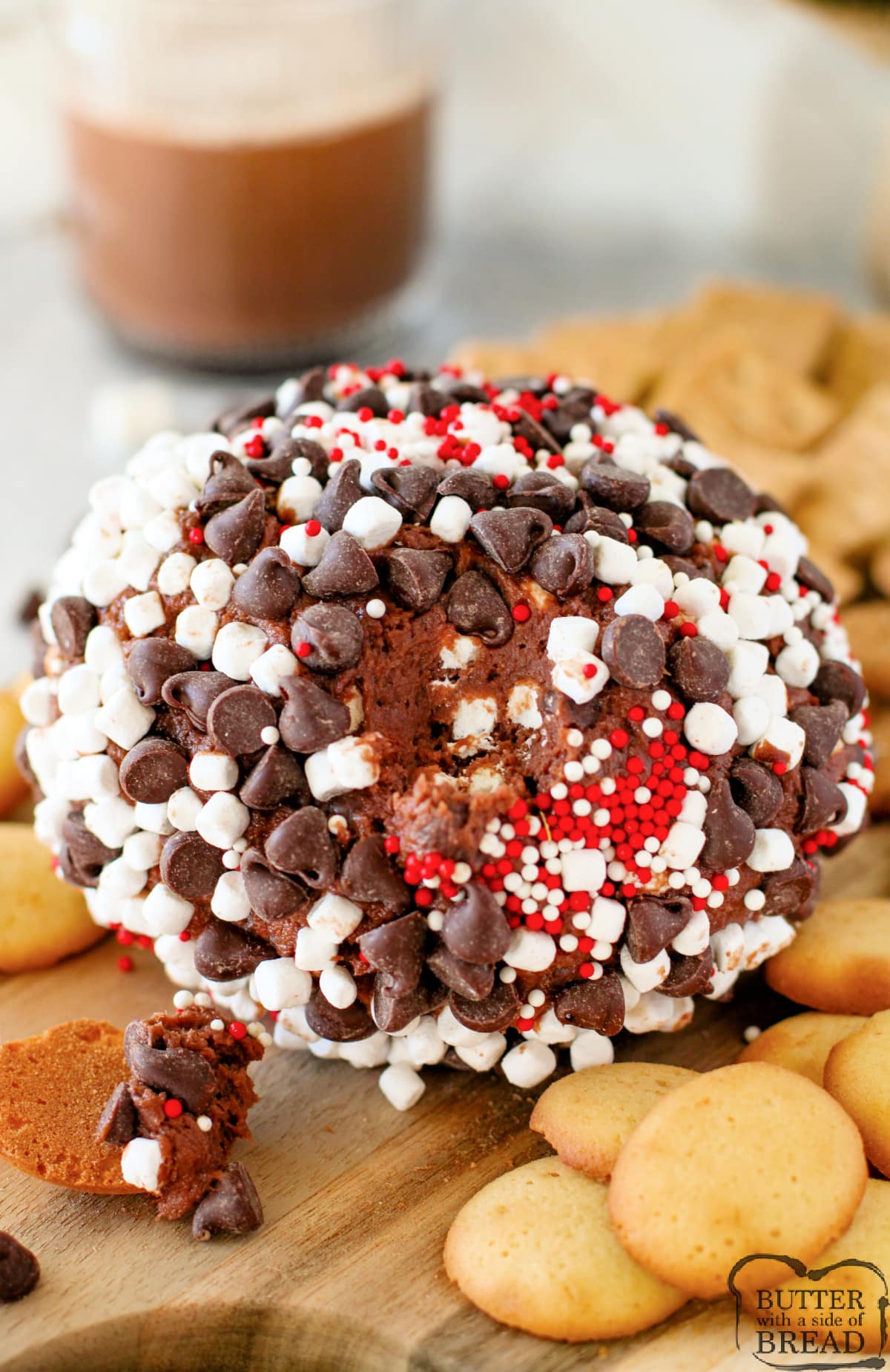 Cheeseball made with hot cocoa mix, marshmallows, chocolate chips, and sprinkles.