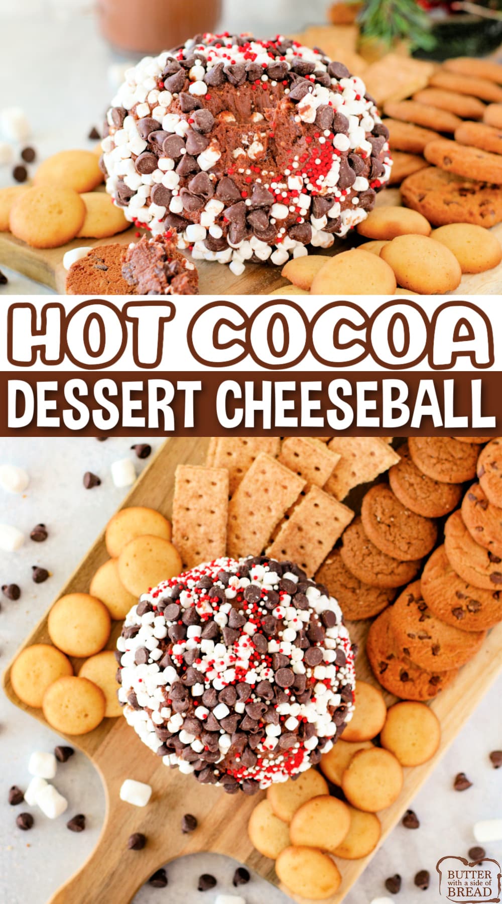 Hot Cocoa Dessert Cheeseball made with cream cheese and hot cocoa mix. This delicious no-bake recipe is the perfect appetizer or dessert for any holiday party.