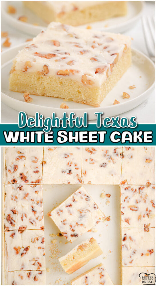 White Texas Sheet Cake is a moist, nutty cake made with butter, sour cream, eggs and walnuts! This soft cake is topped with a buttery almond icing and toasted walnuts!