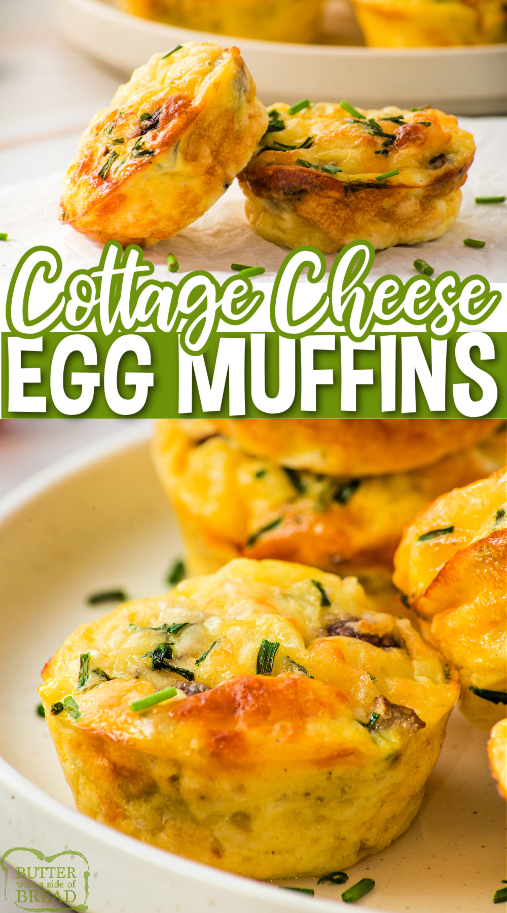 Cottage Cheese Egg Muffins are made with eggs, cottage cheese, and mozzarella cheese. This simple high-protein recipe is perfect for an easy breakfast or snack.