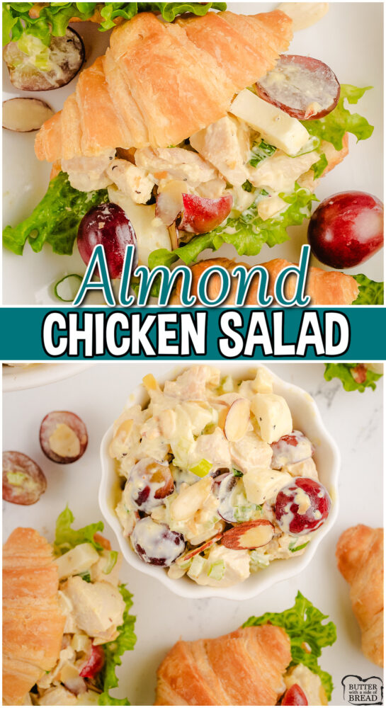 Almond Chicken Salad made with diced chicken, celery, grapes, hard boiled eggs & green onions then mixed with a tangy dressing and plenty of almonds for crunch!