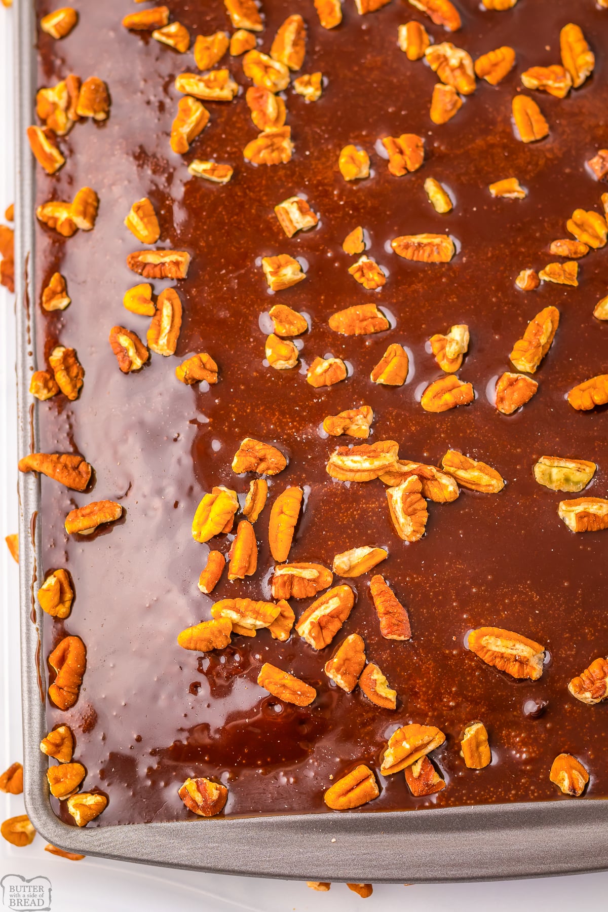 Dr. Pepper Chocolate Sheet cake on a pan