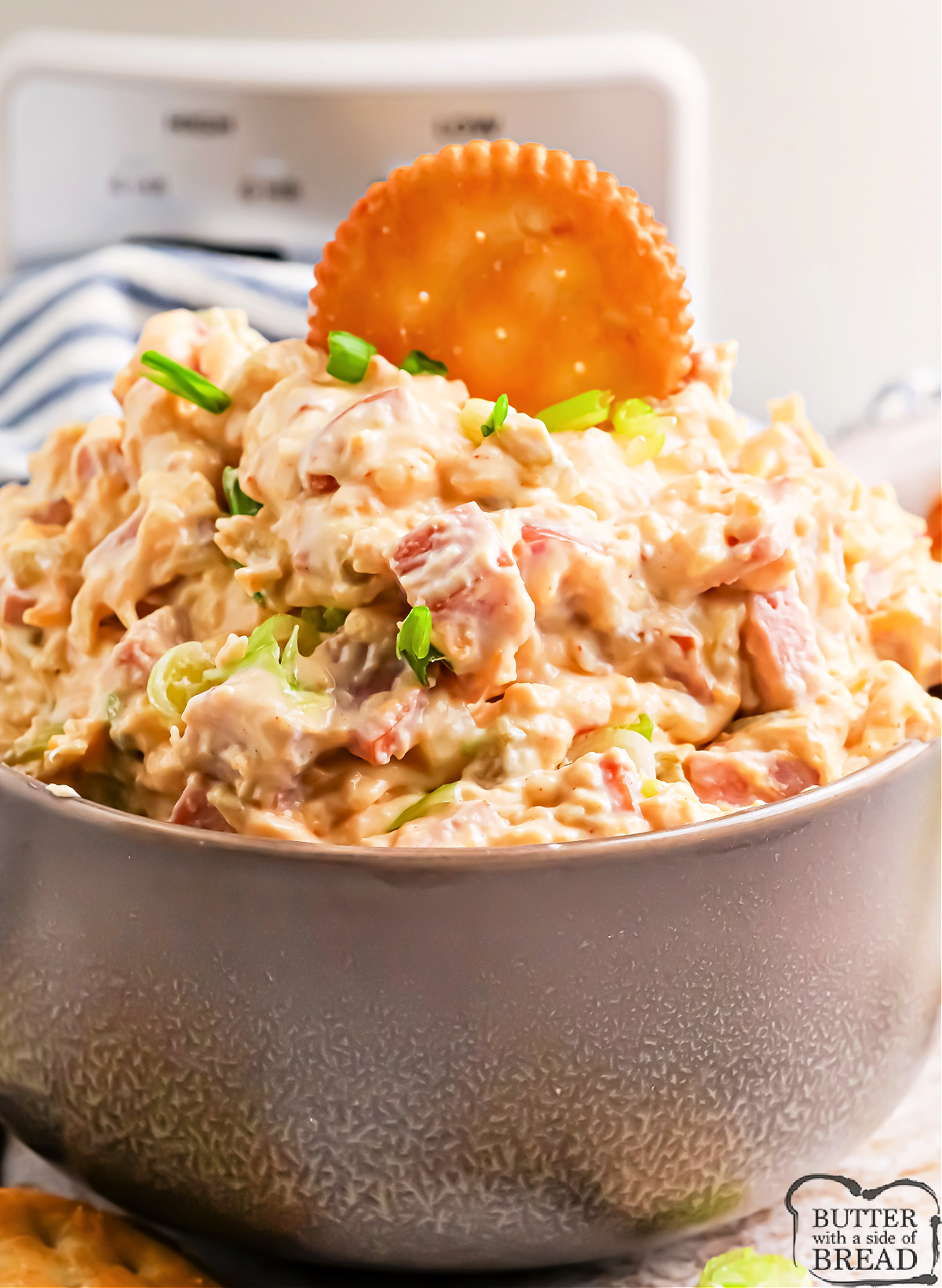 Creamy sausage cheese dip with crackers on the side.
