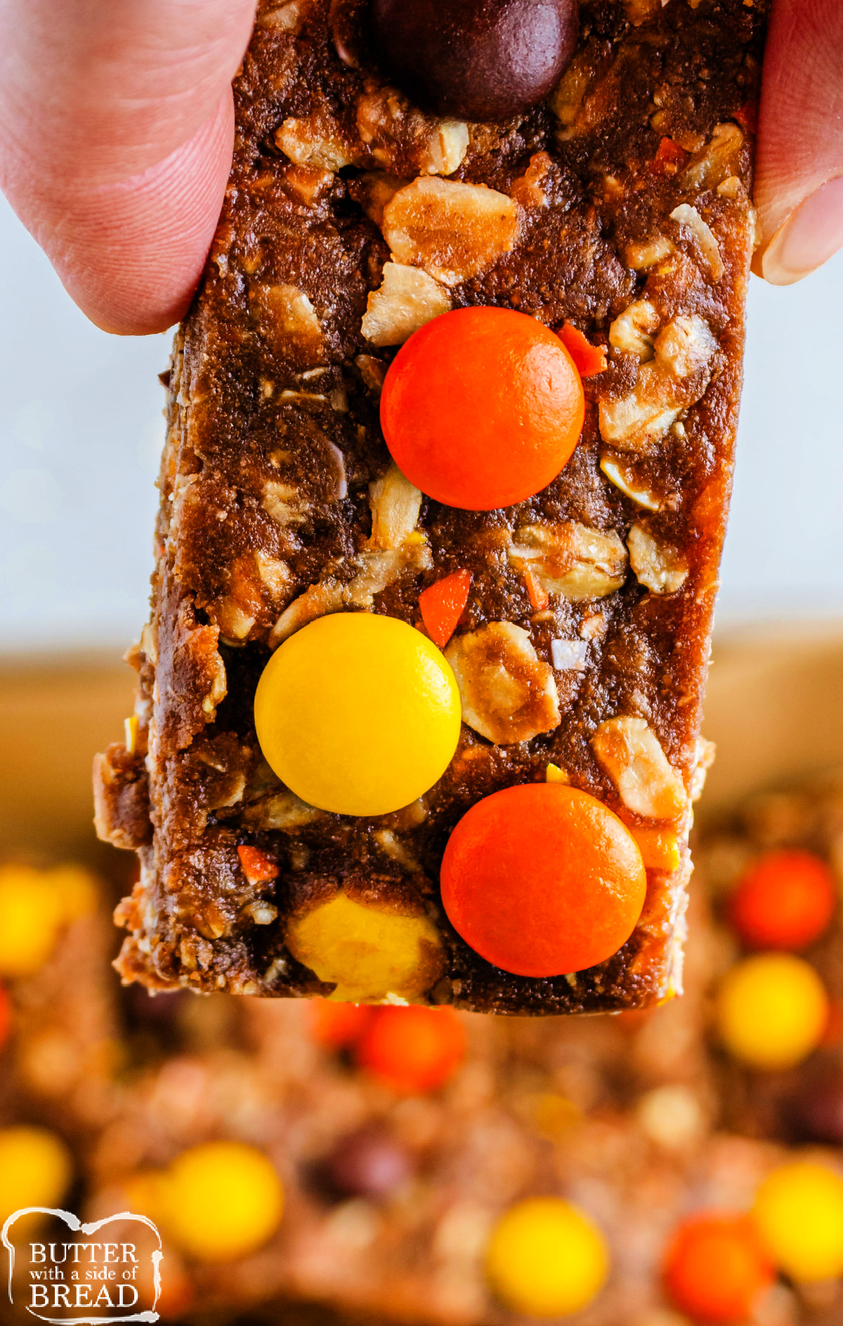 Close-up of a No Bake Reese’s Pieces Protein Bar showing the chewy layers of oats, peanut butter, and chocolate protein with colorful candy pieces pressed on top.